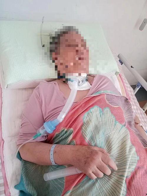 贾萍照片,镜头下的优雅与魅力