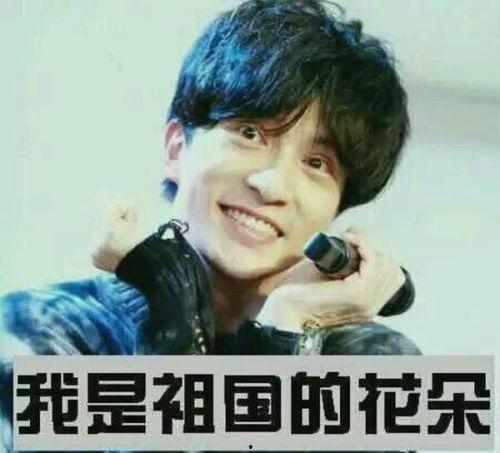 薛之谦跳海表情包,网络狂欢背后的情感共鸣