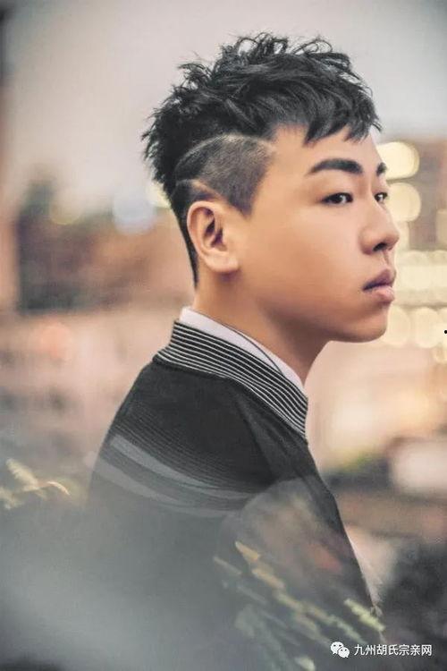 性胡的明星,揭秘娱乐圈的隐秘面纱