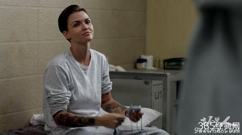 女子监狱第三季演员表,新角色加盟，原班人马再战风云