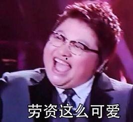 韩红为什么表情包,从慈善歌手到网络红人