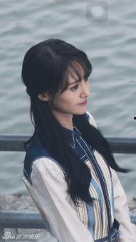 郑爽杨洋照片大全集,青春偶像的甜蜜邂逅，照片大全集回顾