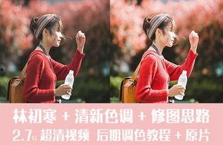 网红林初寒,从网红到影响力领袖的蜕变之路