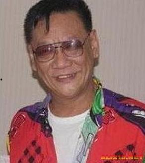 何家驹娱乐圈,娱乐圈的传奇人生