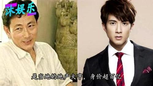 娱乐圈出身名门,璀璨星途背后的家族荣耀