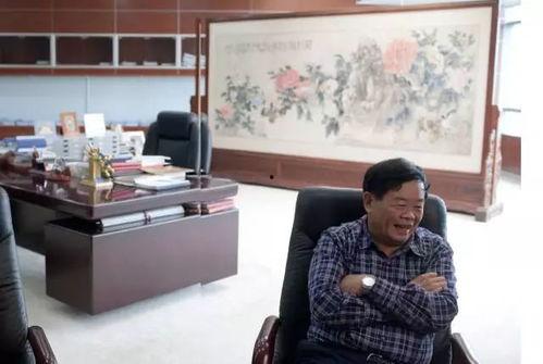 马东敏政府背景,政府背景下的政商精英之路